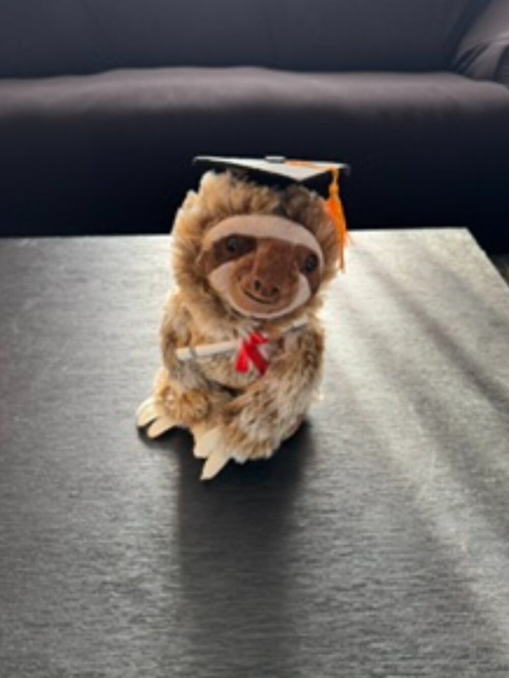 Singing Graduation Sloth
